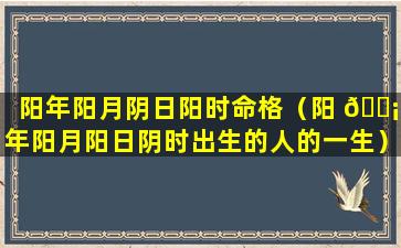 阳年阳月阴日阳时命格（阳 🐡 年阳月阳日阴时出生的人的一生）